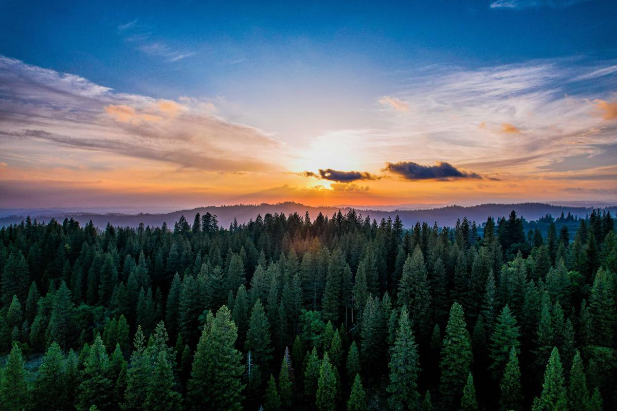 https://thedroningcompany.com/images/1463/gallery/forest-sunset-1-1777494688.jpeg