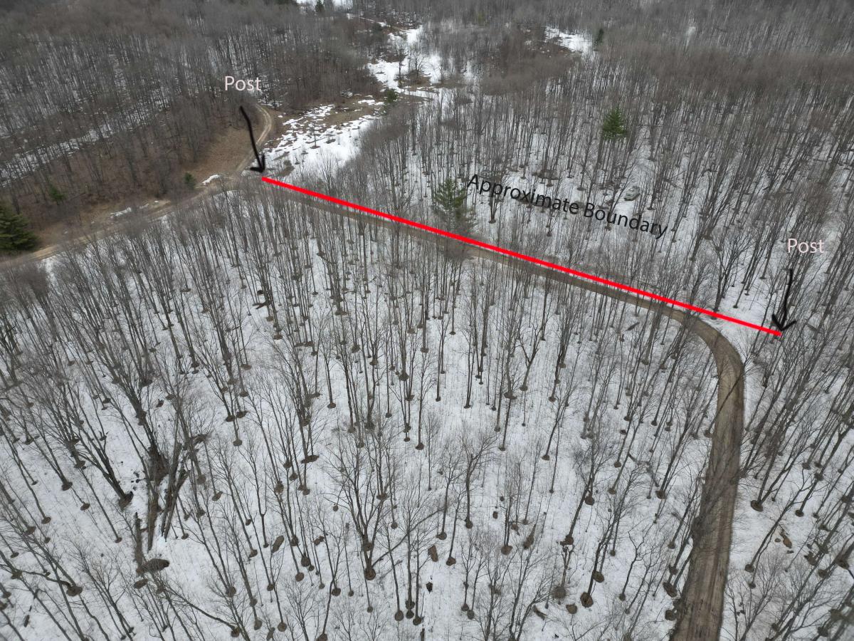 https://thedroningcompany.com/images/1466/gallery/alvin-ln-boundary-1777941509.jpg