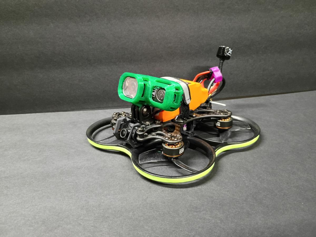 Pavo25
