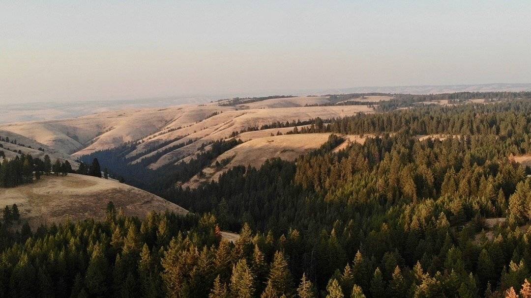 https://thedroningcompany.com/images/261/gallery/638e290cb945b.jpeg