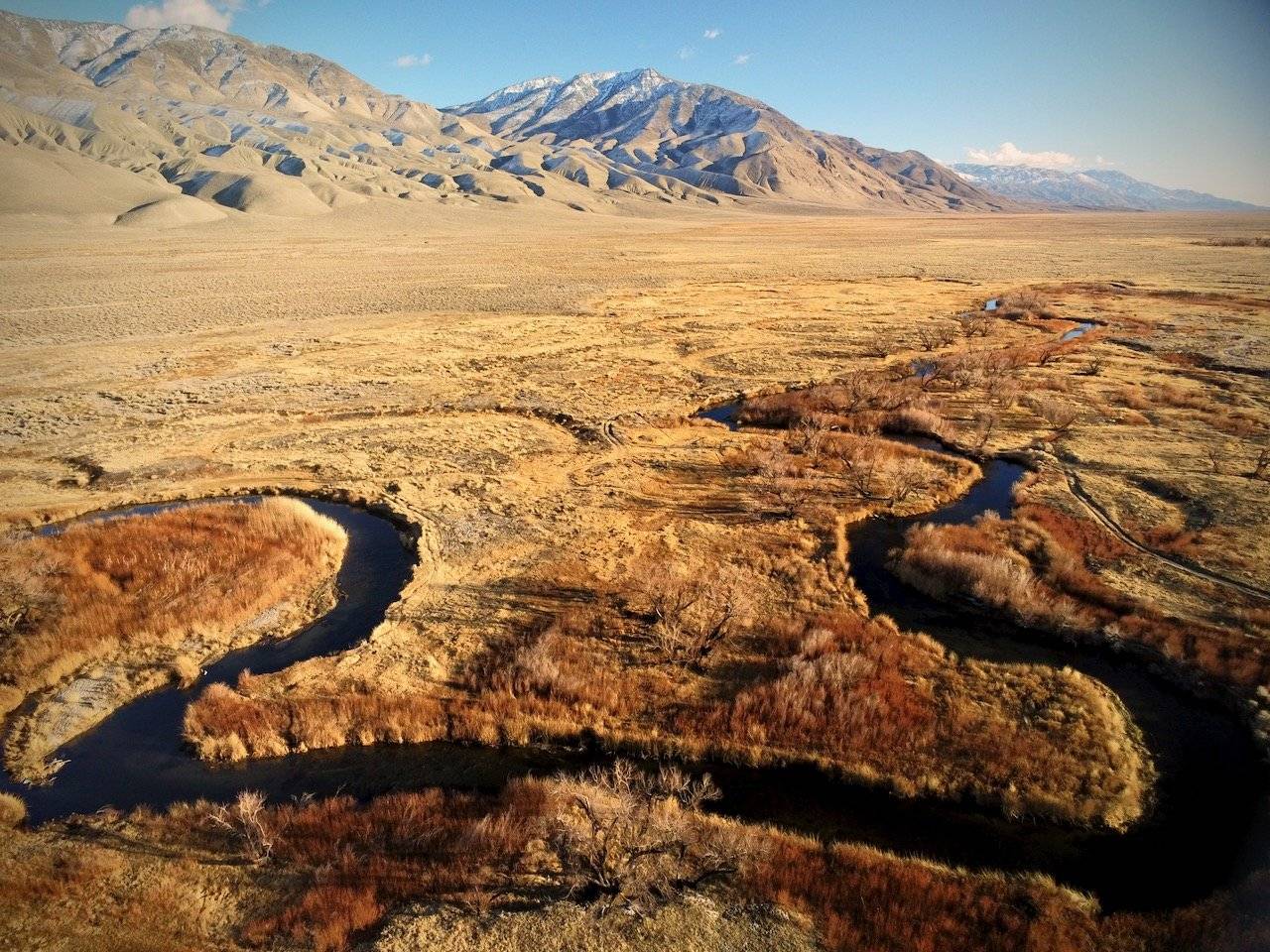 https://thedroningcompany.com/images/267/gallery/63addc435431c.jpeg