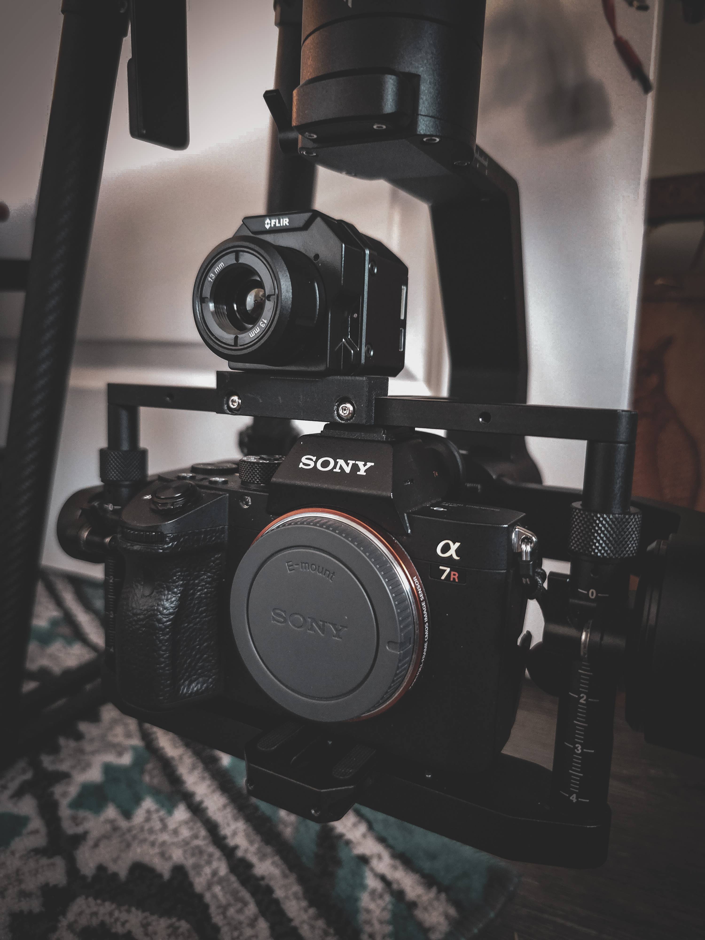 Full sized sensor dual payload