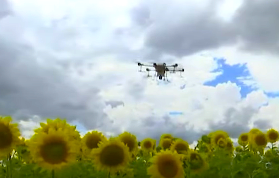 Here Come the Sunflowers: Drones Plant Seeds at Australian Farm