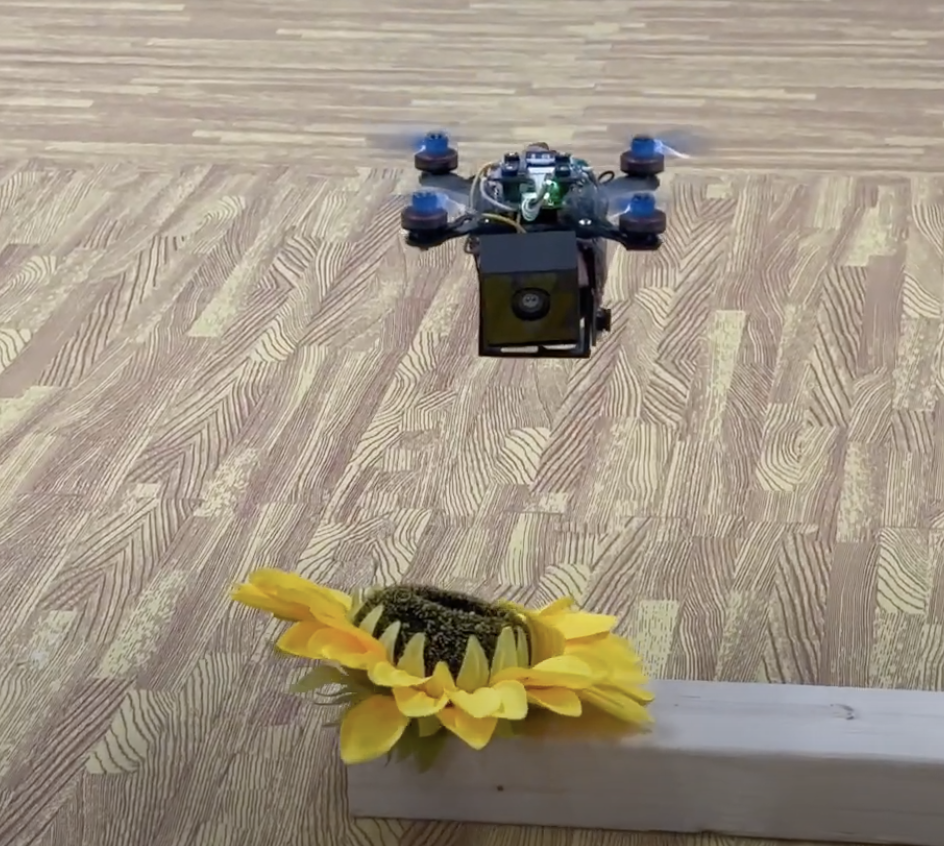 Drone Bees May save the planet