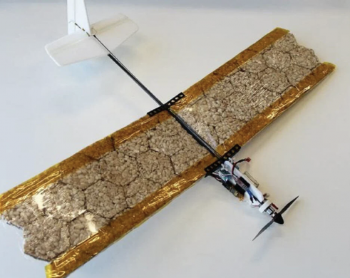 Swiss Develop Edible Drone