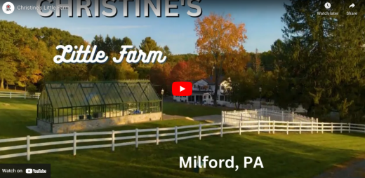 Christine's Little Farm