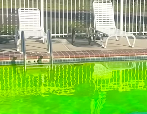 Mischievous Drone Pilot Punks New Jersey Swimming Pools