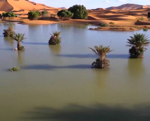 Drone Captures Otherworldly Flooding in the Sahara Desert