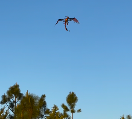 Where have all the dragons gone?